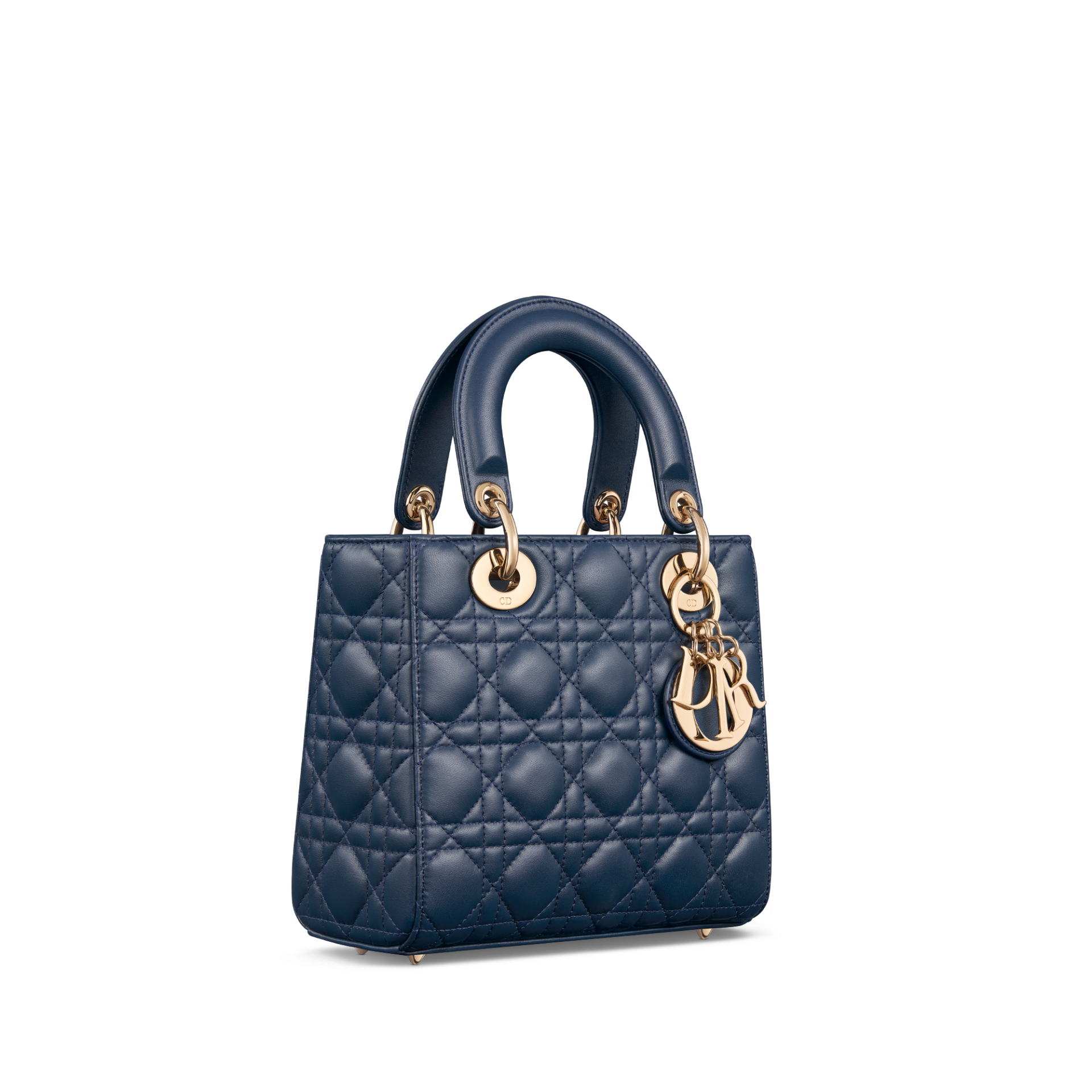 Lady Dior Around The World