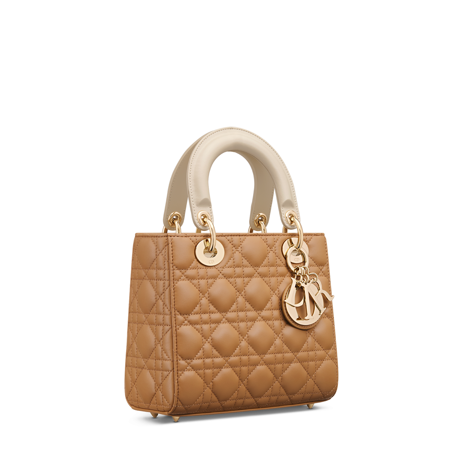 Lady Dior Around The World