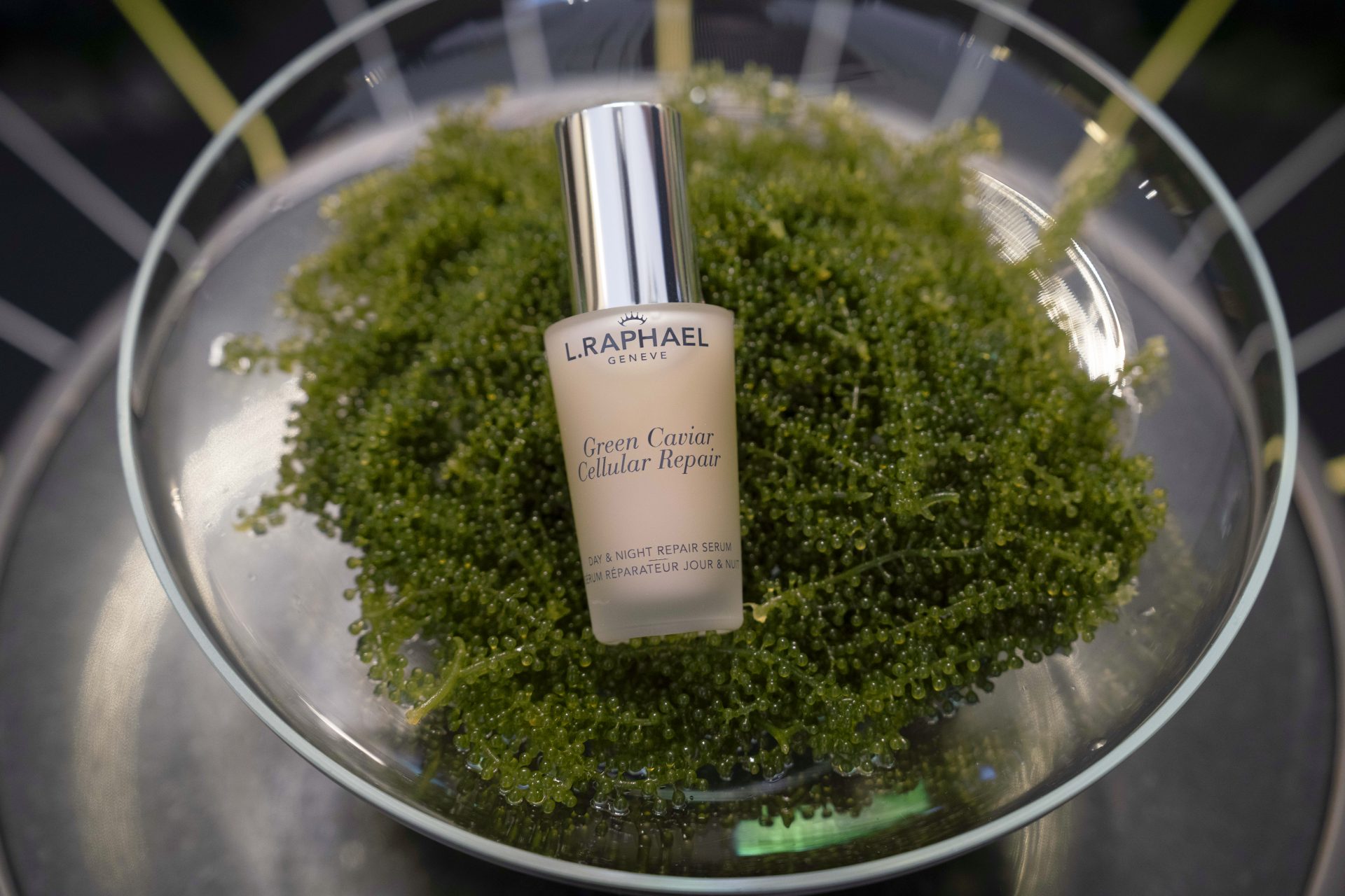 L.RAPHAEL Green Caviar 